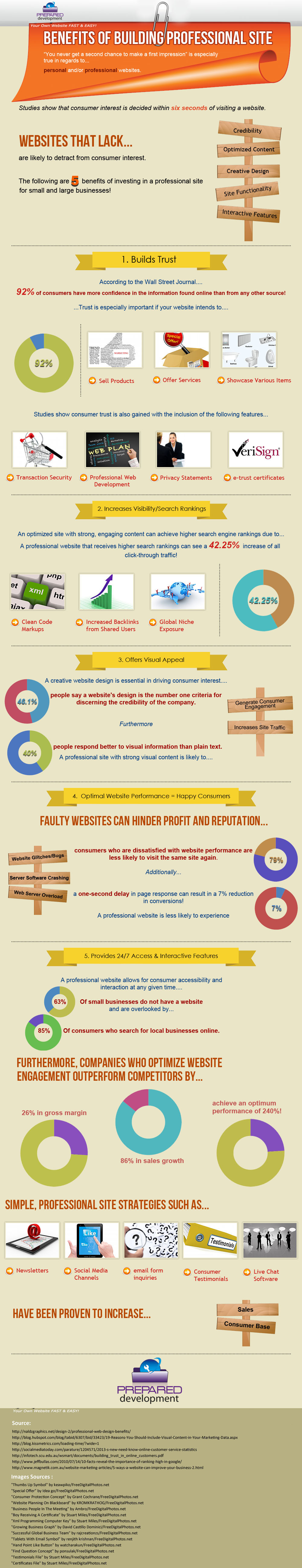 Interesting Infographic About Benefits Of Building Professional Site